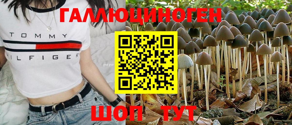 Кемерово  Галлюциногенные грибы GOLDEN TEACHER  Вход с VPN 