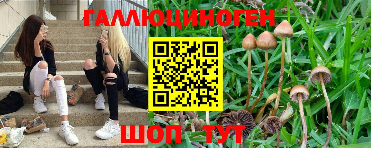 Галлюциногенные грибы мухоморы Кемерово